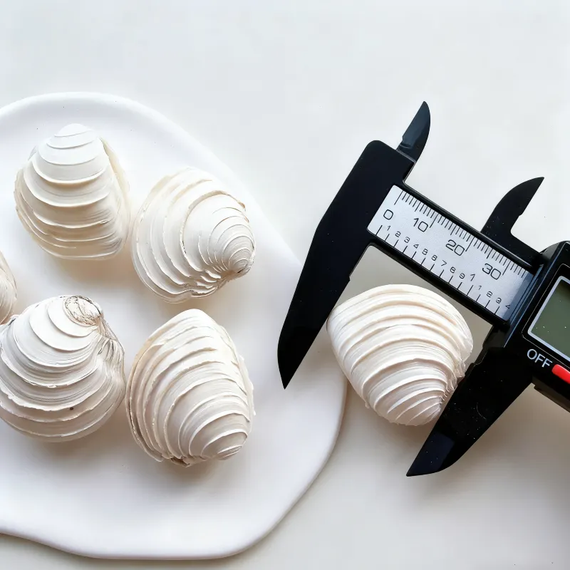 wedding cake seashells Natural Tiara Venus Shells 0.5--2" (1.2-5cm )