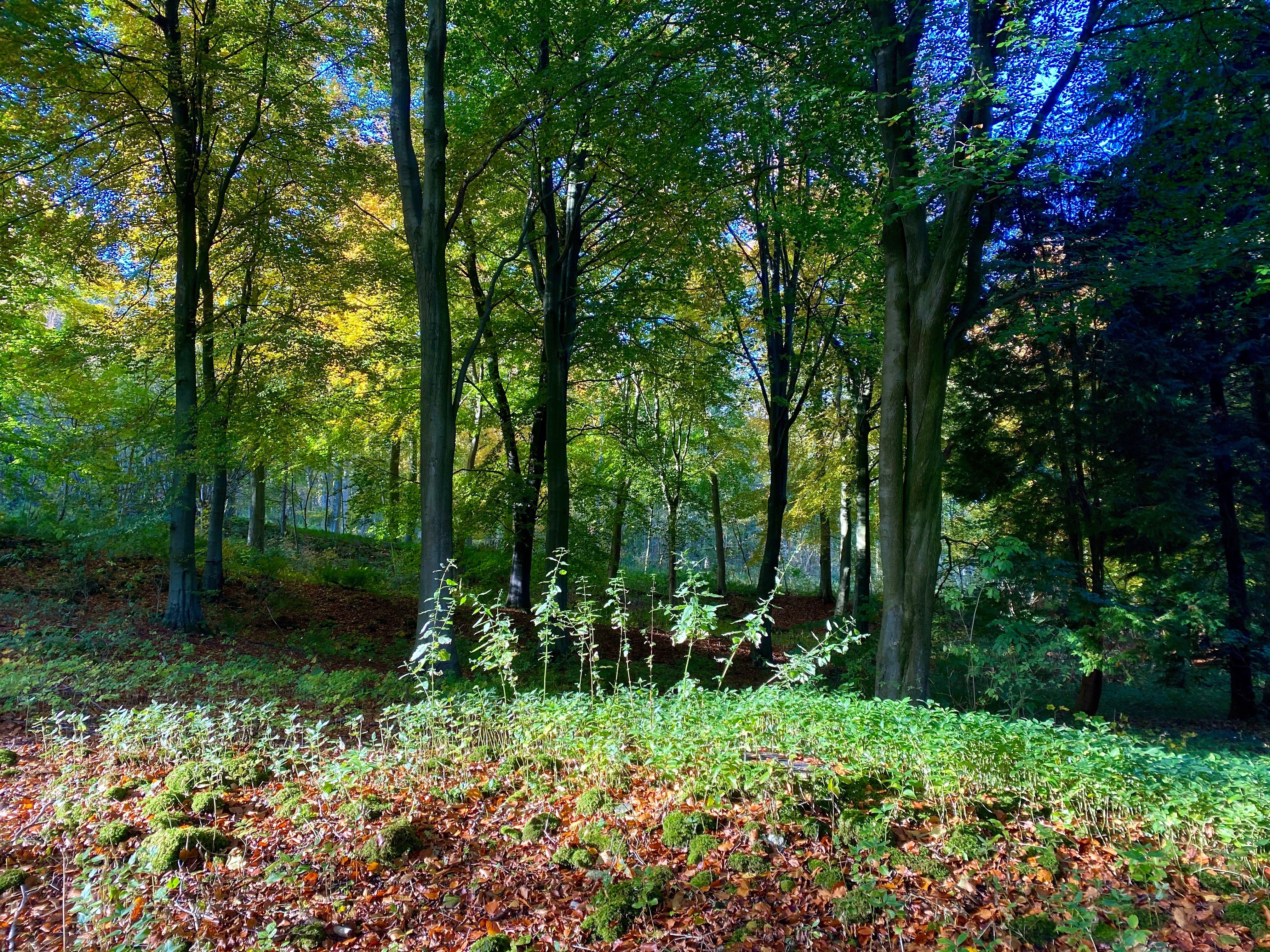 Register as a Patient (fee redeemable against future bookings)