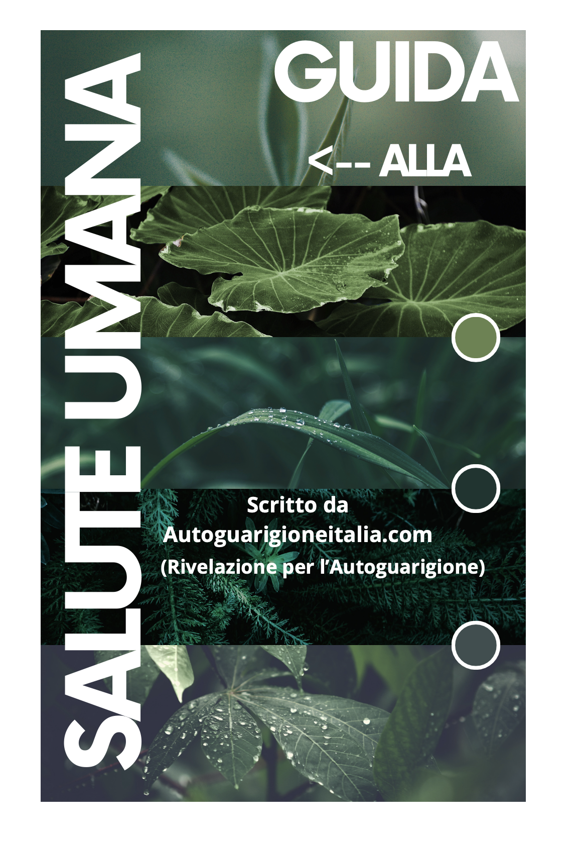 Guida alla salute umana