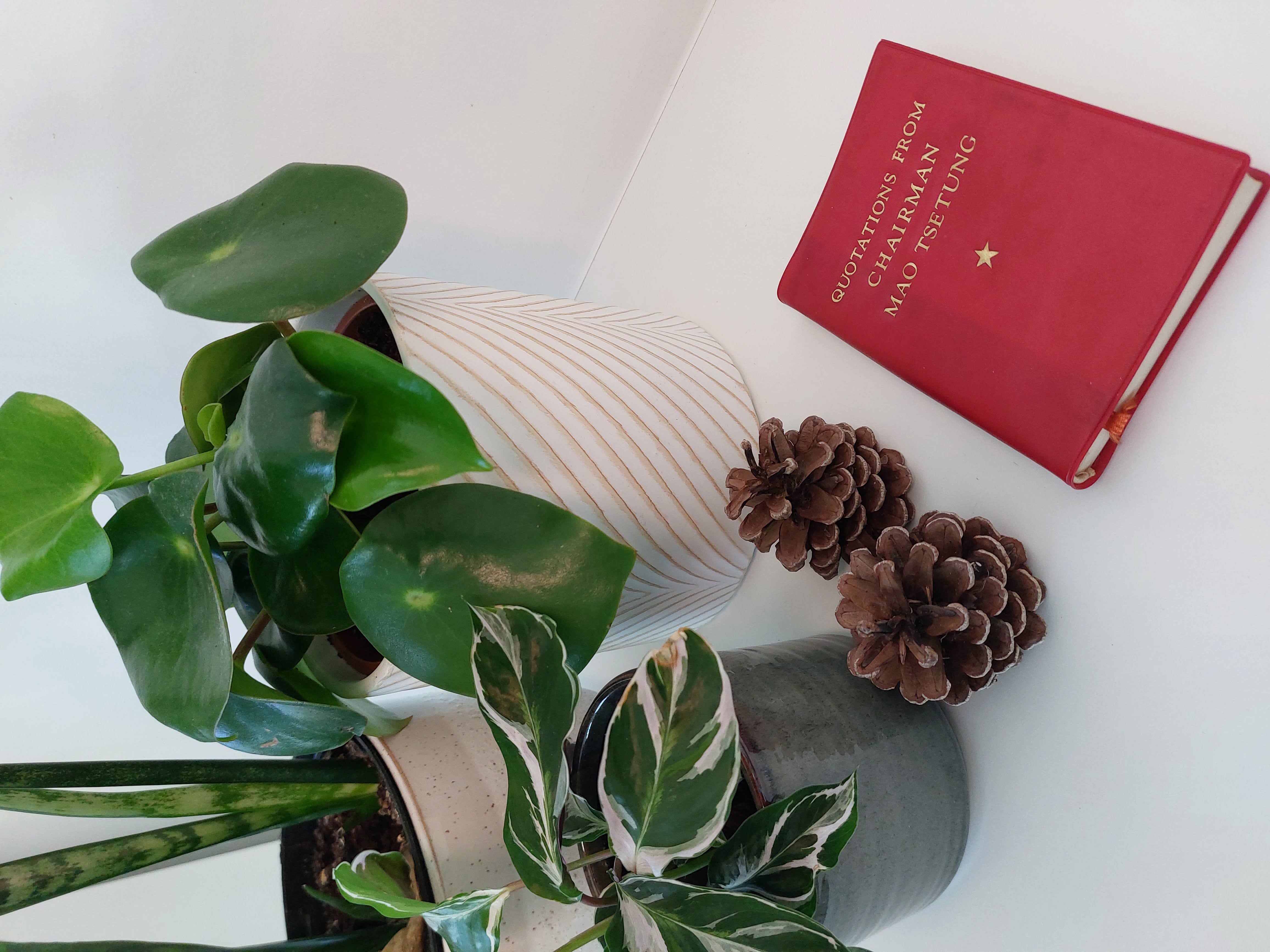 QUOTATIONS FROM CHAIRMAN MAO TSETUNG — 1976 Edition