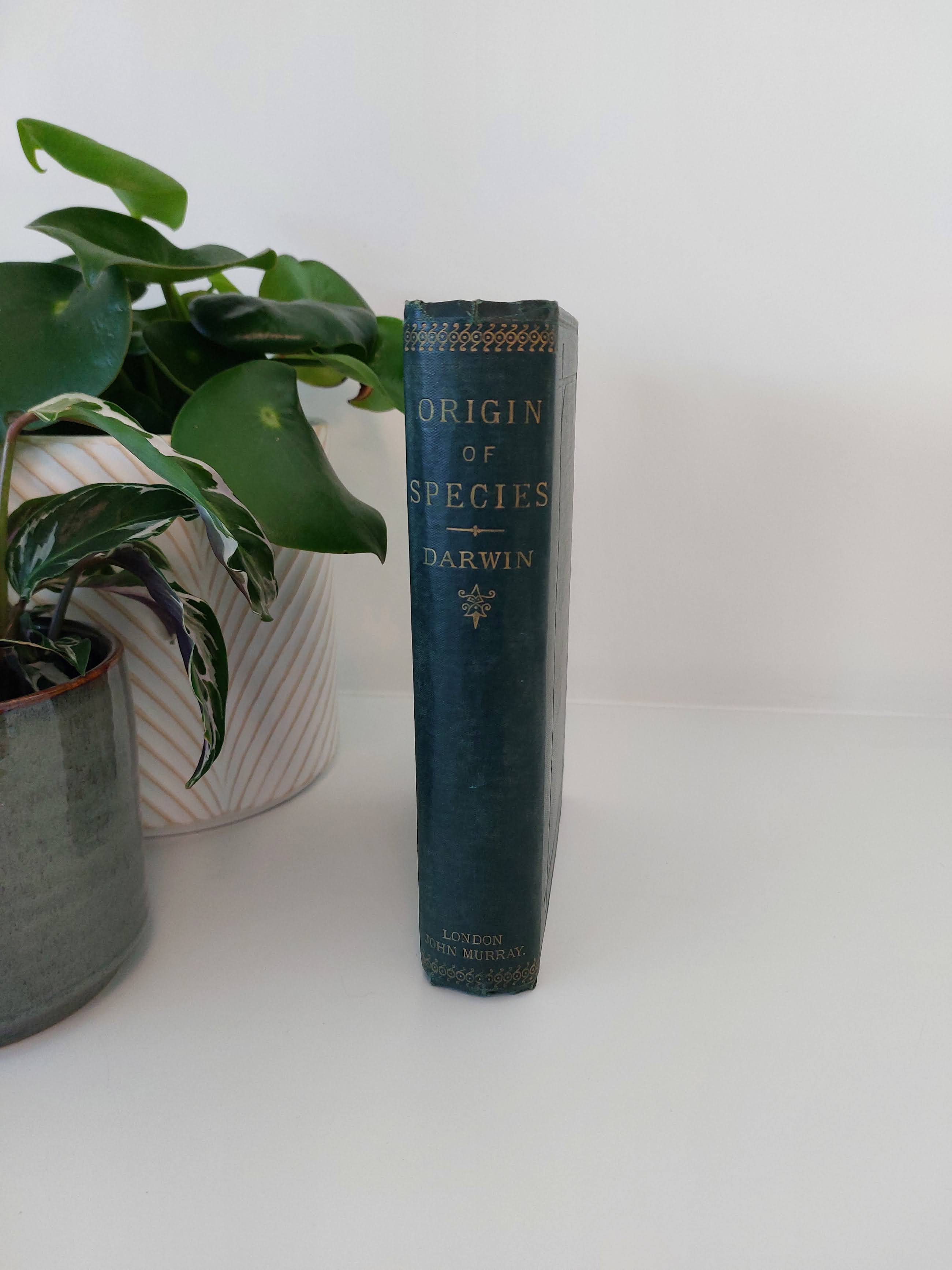 Charles Darwin — The Origin of Species - London: John Murray, 1882. Sixth edition, “Twenty-Fourth Thousand.”