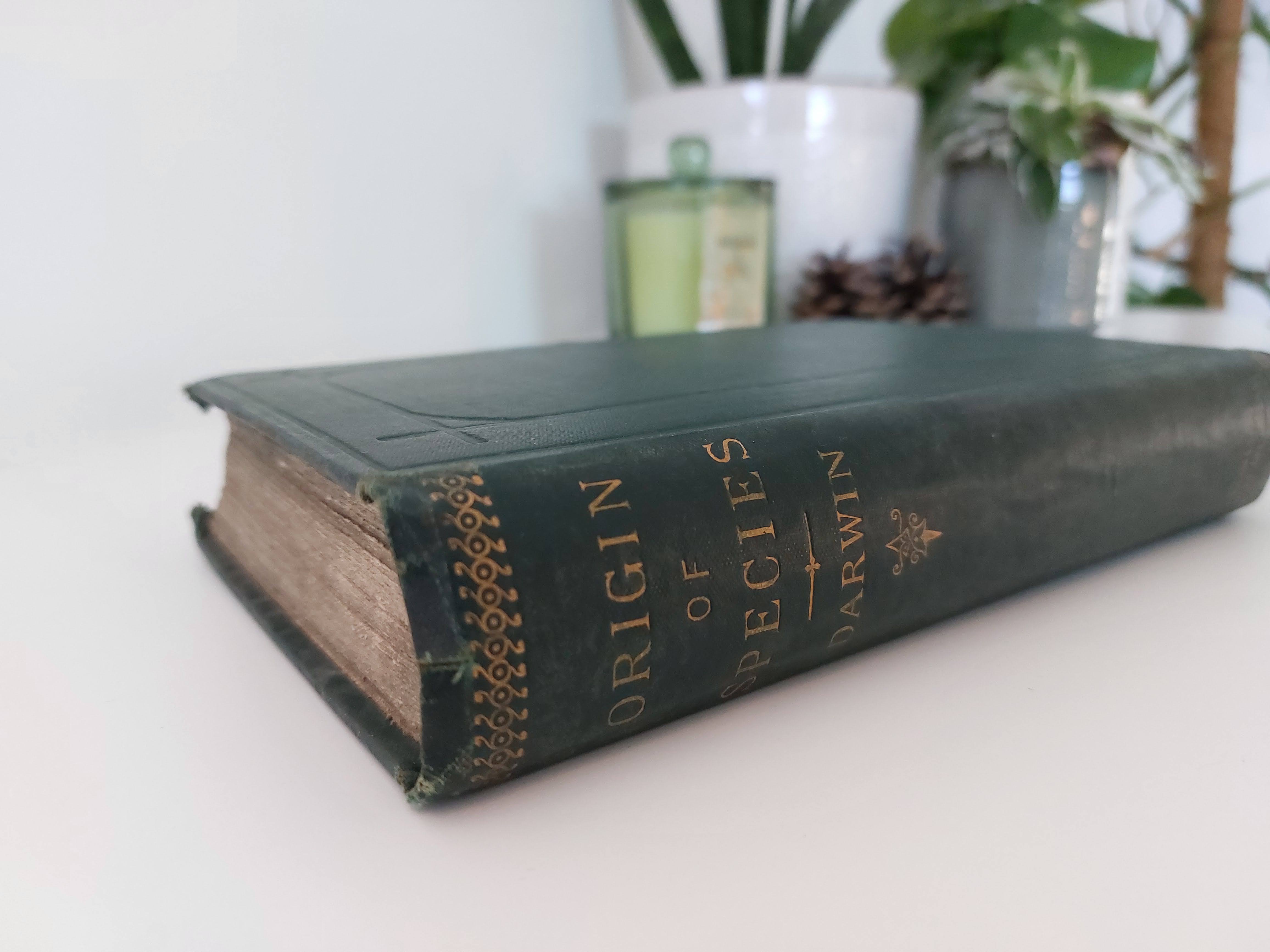 Charles Darwin — The Origin of Species - London: John Murray, 1882. Sixth edition, “Twenty-Fourth Thousand.”