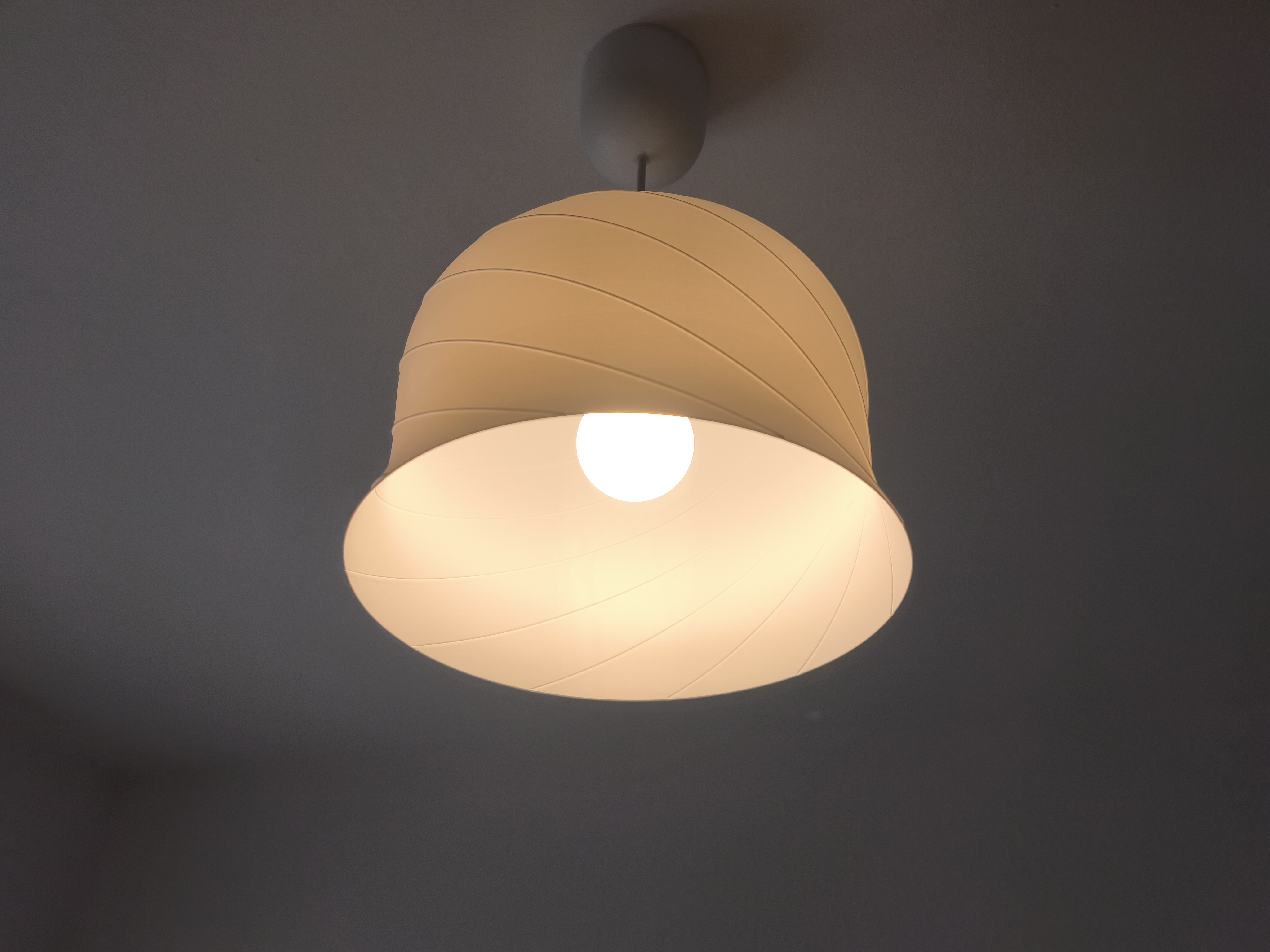 ROSE | Lámpara Colgante Universal