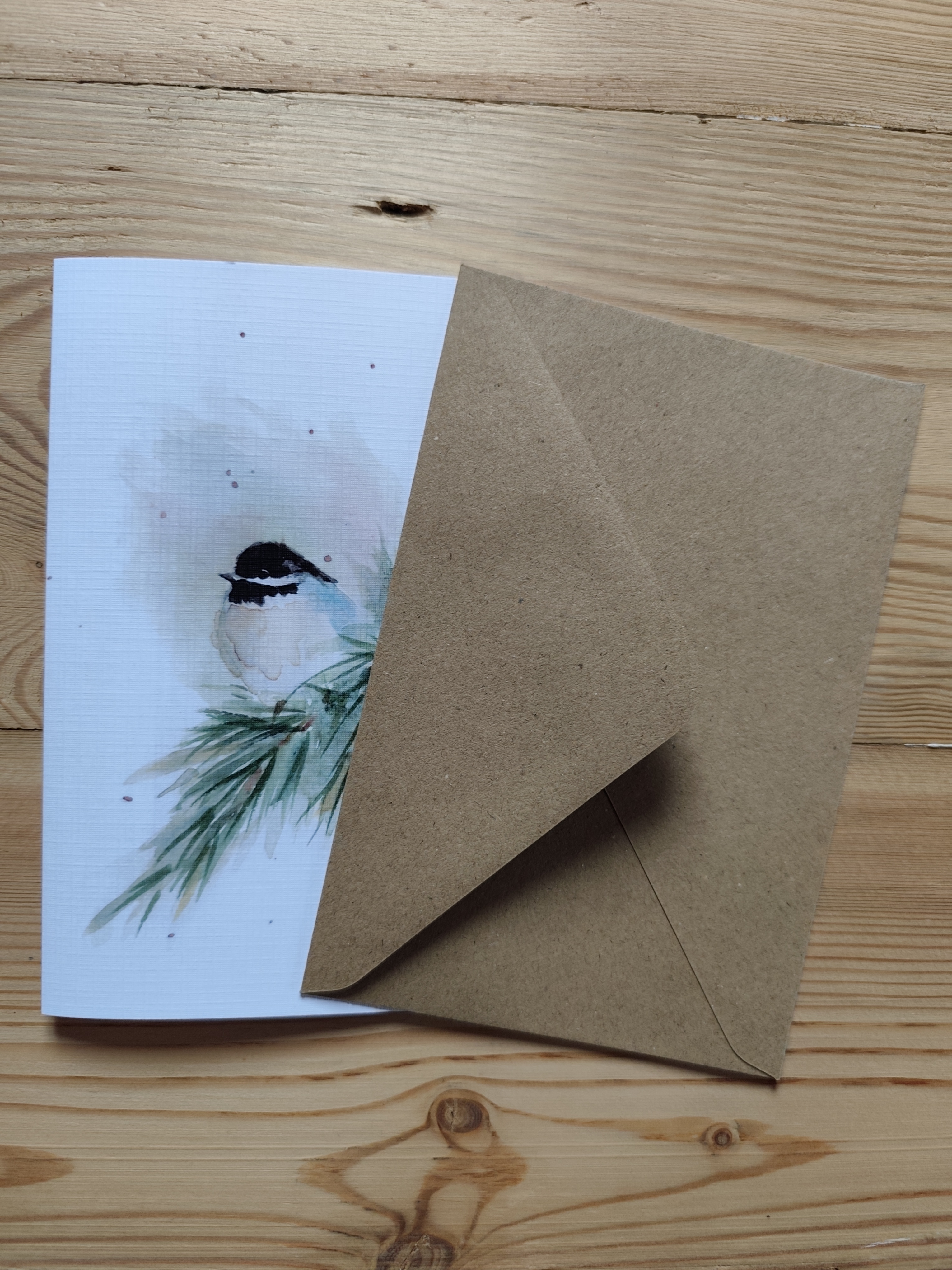 Blackcap The Chickadee