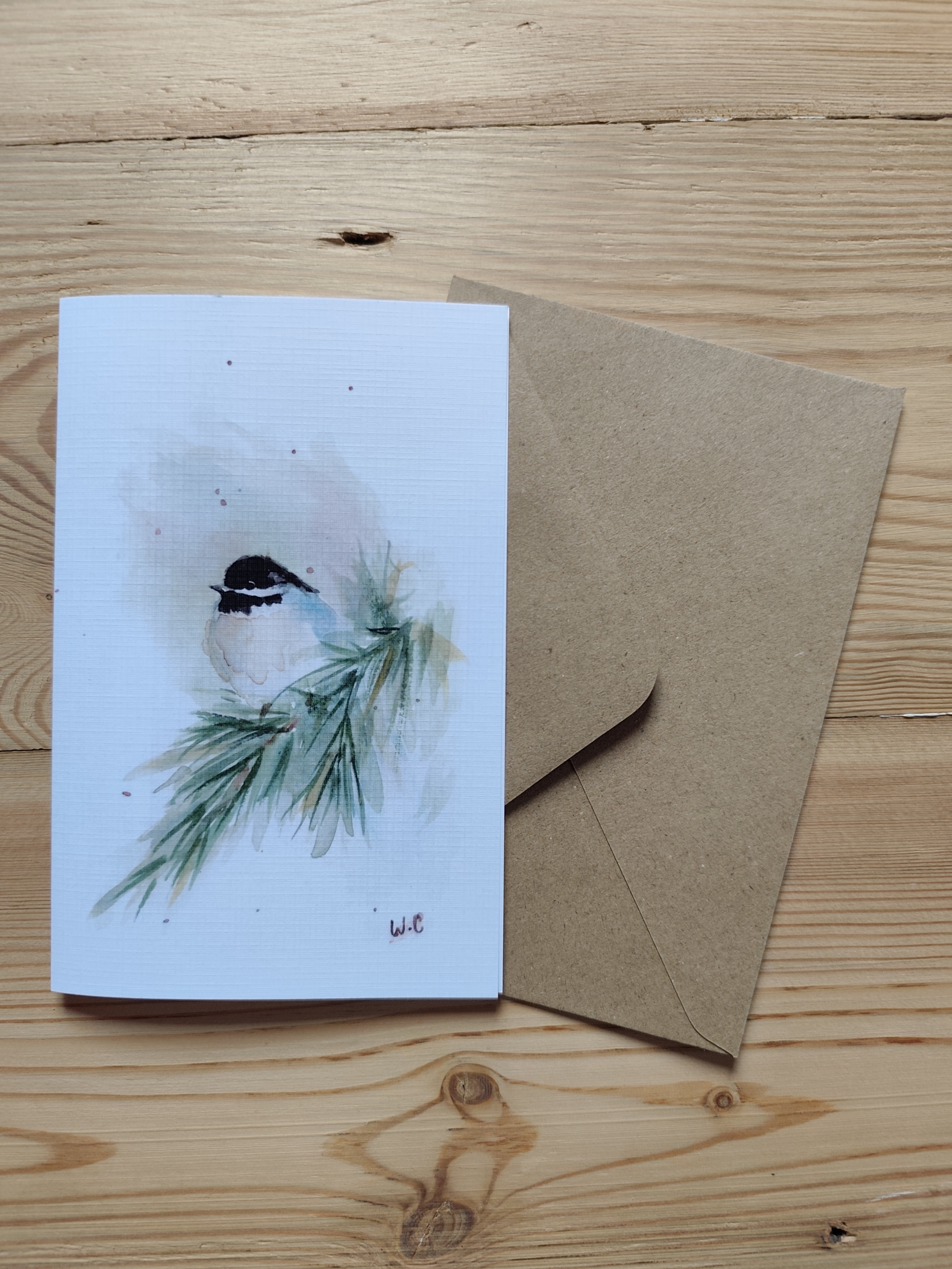 Blackcap The Chickadee