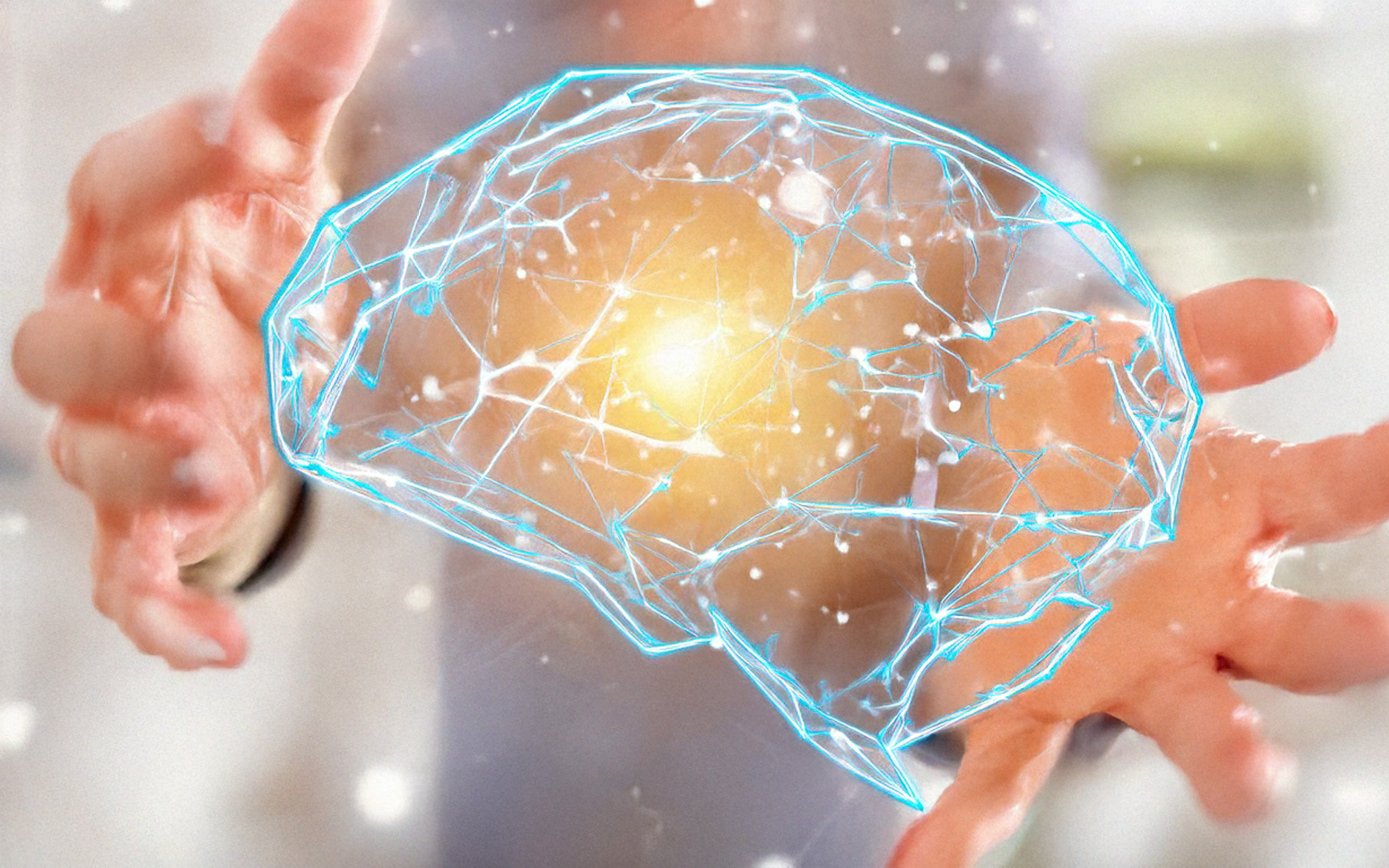 Séance Auxiliothérapie 1h30 - Visioconférence