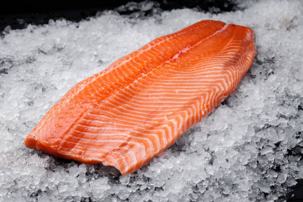 Filet de saumon frais