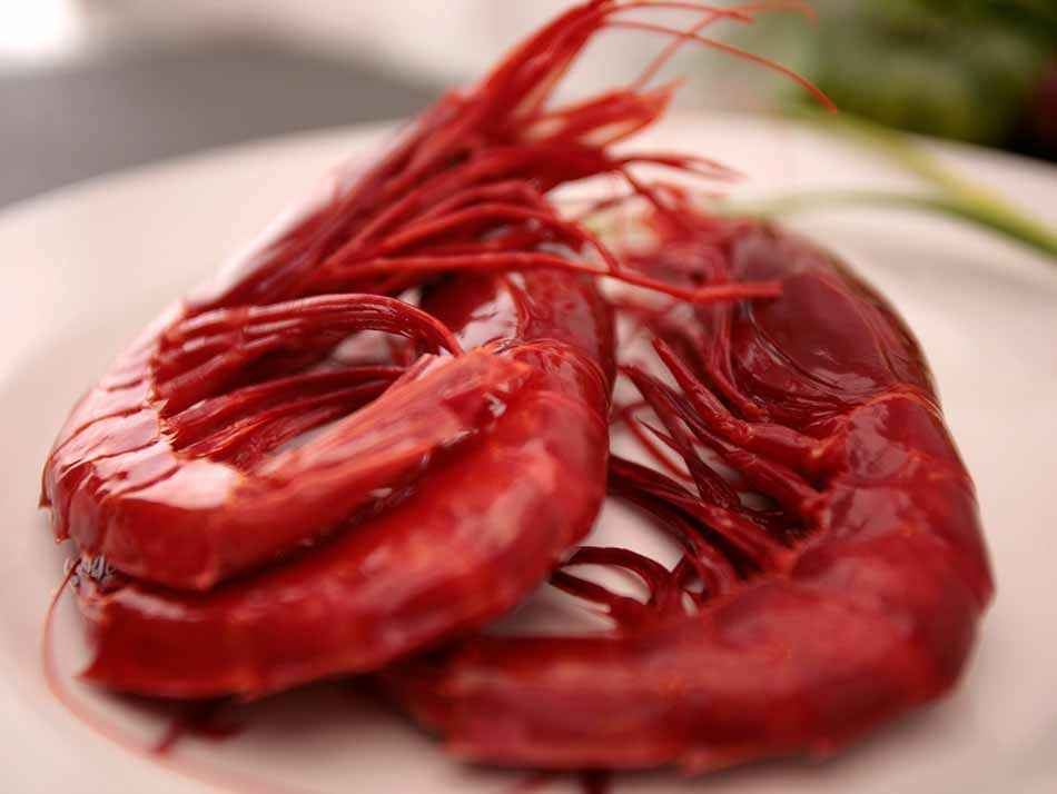 Gamba Rouge