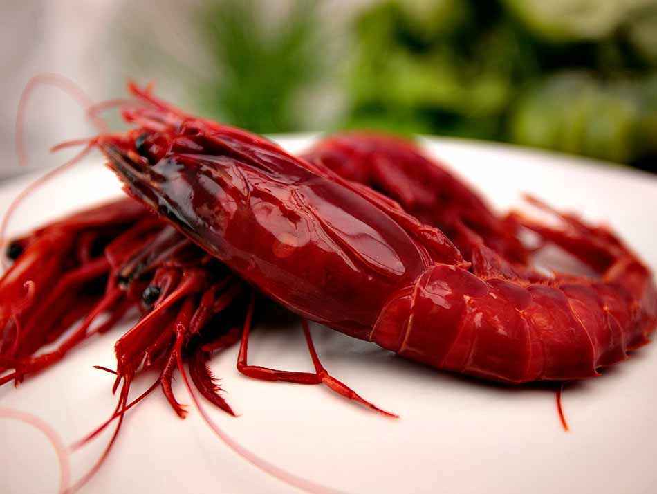 Gamba Rouge