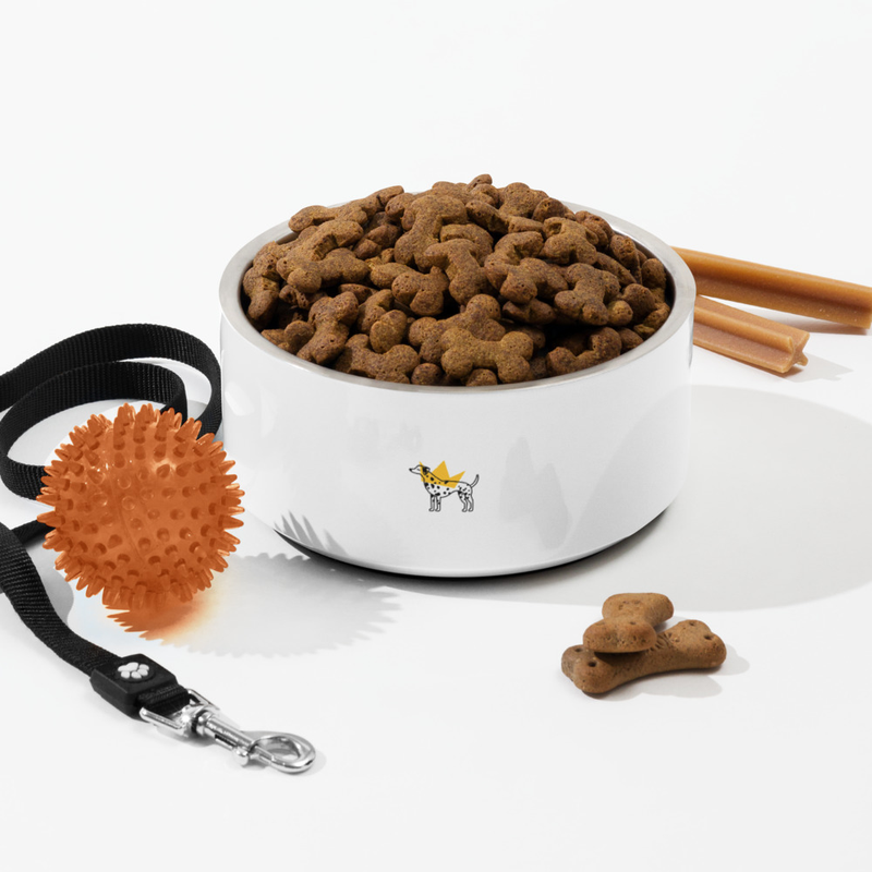 Dog Food Bowl