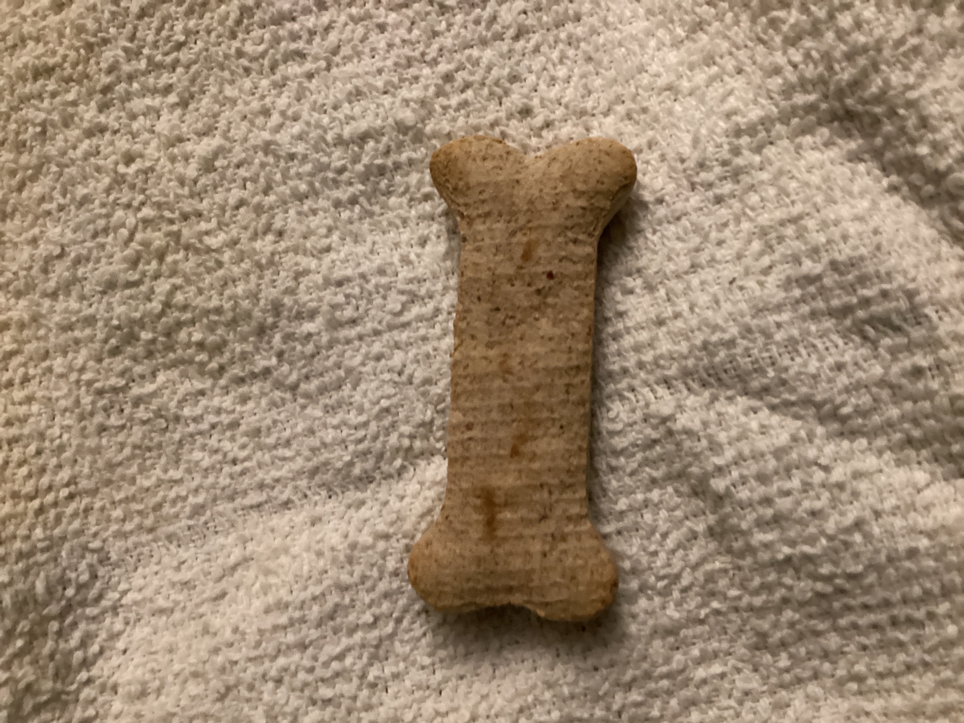 Dog Bone Biscuit