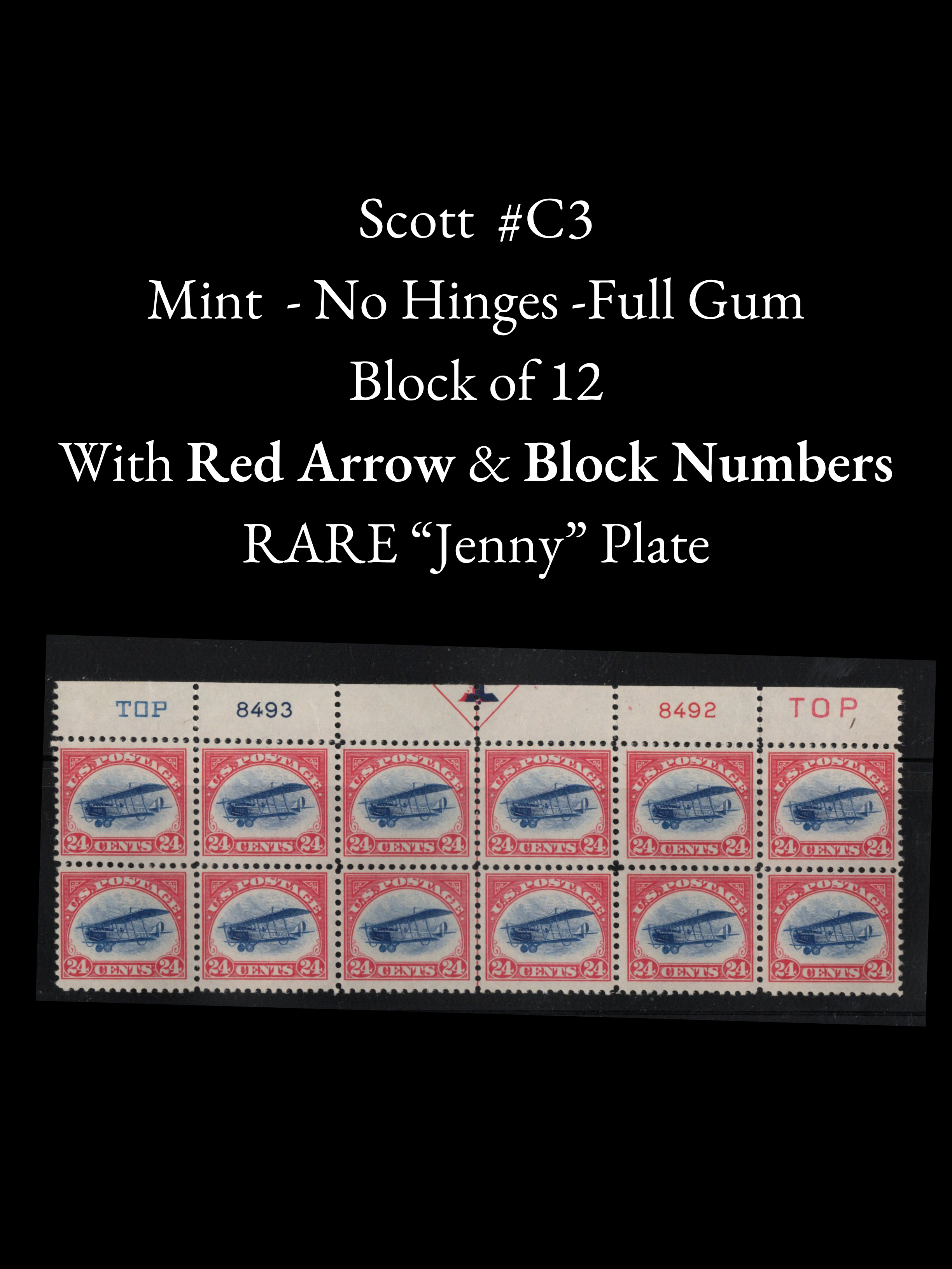 Scott #C3 - 1918 24¢ Jenny Airmail - RARE Mint Never Hinged Block of 12 w/ Arrow & Plate Nos.