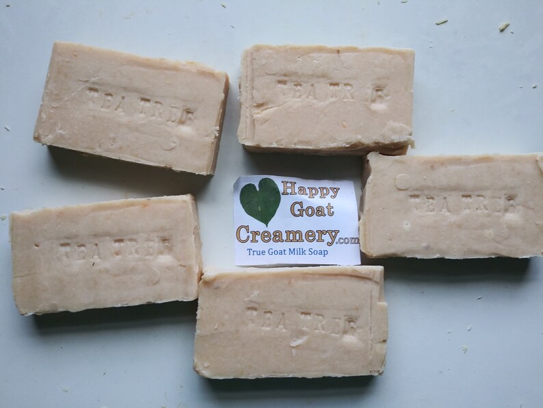 5 Bars Goat Milk Soap Free Shipping Bundle -3 or 6 ounce bars Your Choice