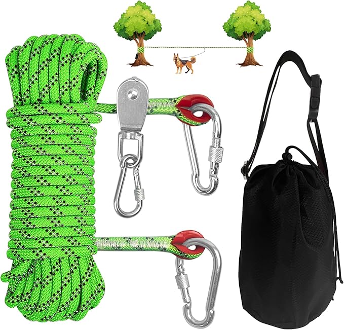 Dog Camping Essentials