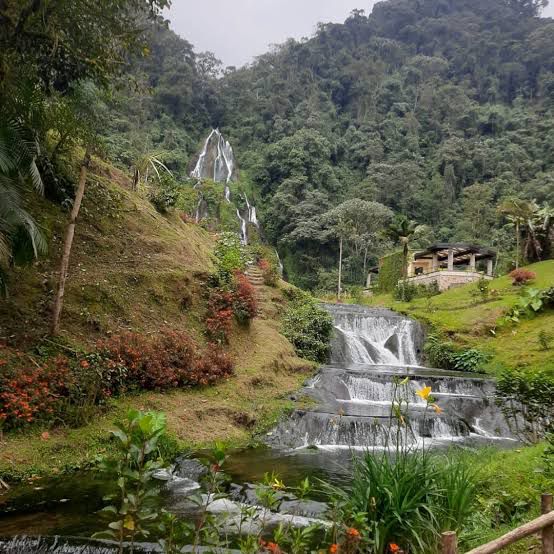 🇨🇴 Paquete Eje Cafetero – Tradición, Naturaleza & Café – 5 Días / 4 Noches
