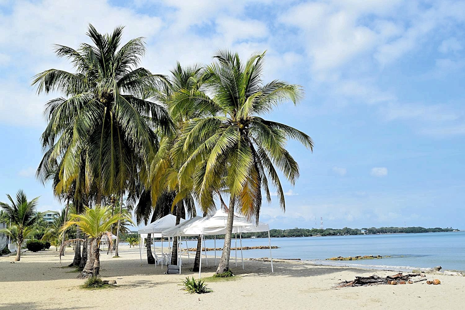 🇨🇴 Paquete Coveñas – Sol, Arena & Aventura Marina – 5 Días / 4 Noches