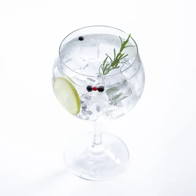 Set de Copas de Gin x4