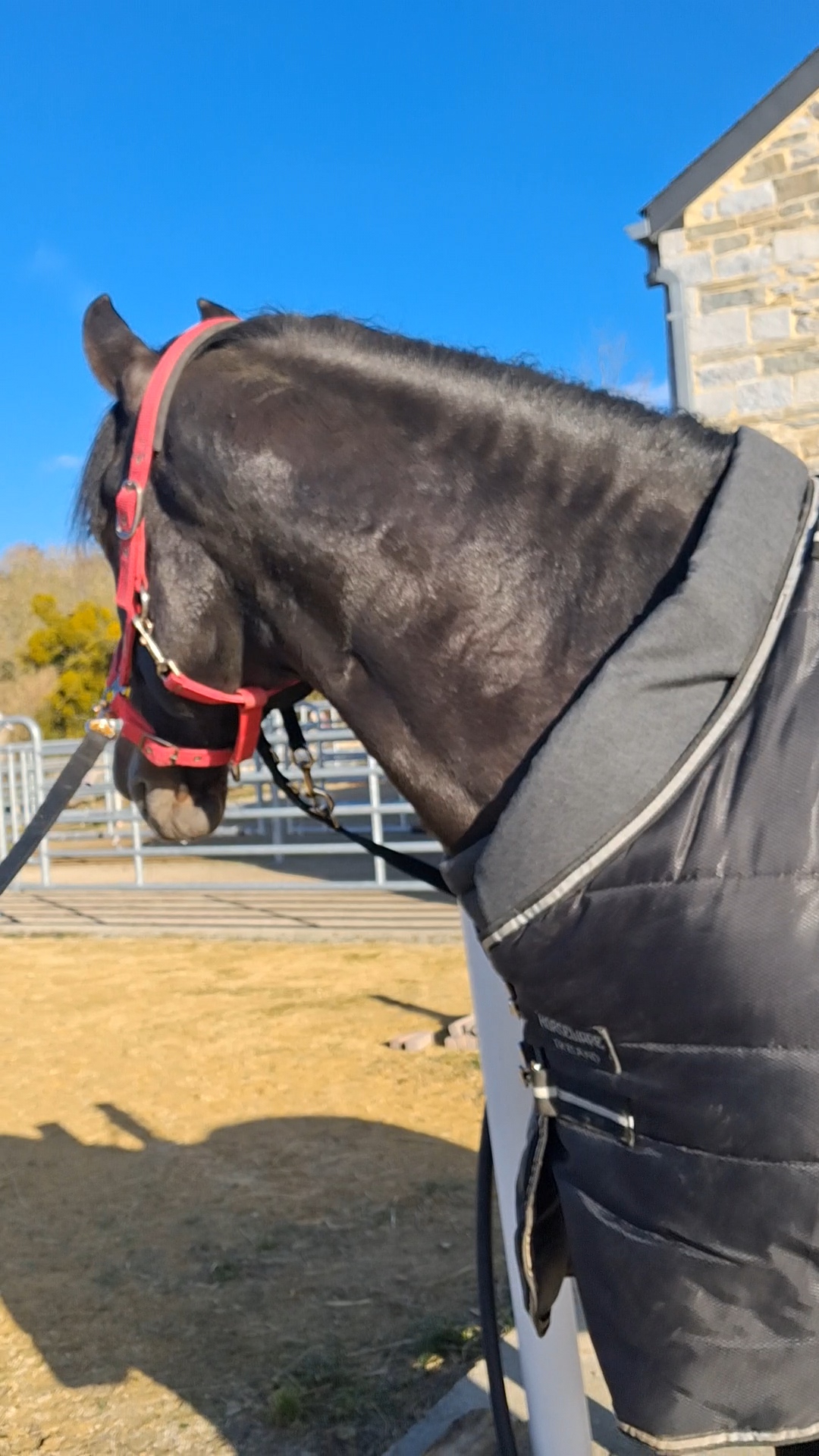 Encolure Confort Imperméable