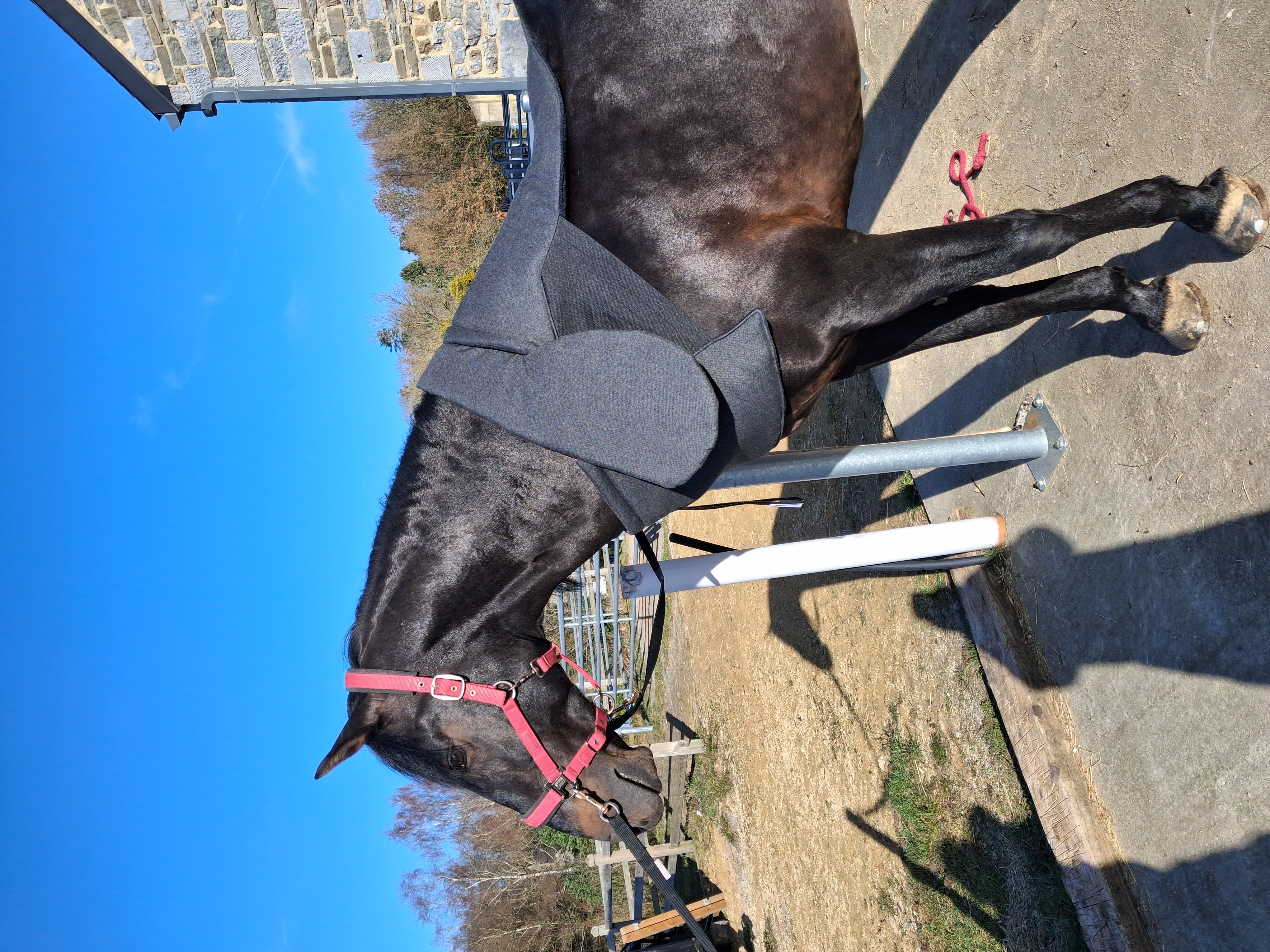 Encolure Confort Imperméable