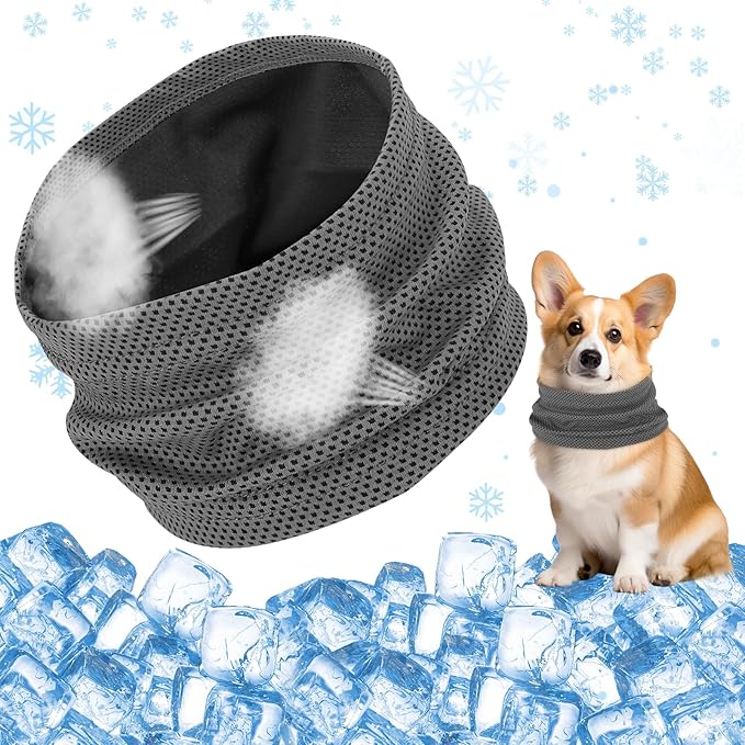 Bandana de Refroidissement per Cane Collier Ajustable 35 x 11 CM