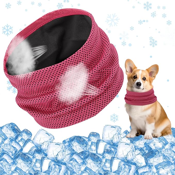 Bandana de Refroidissement per Cane Collier Ajustable 35 x 11 CM