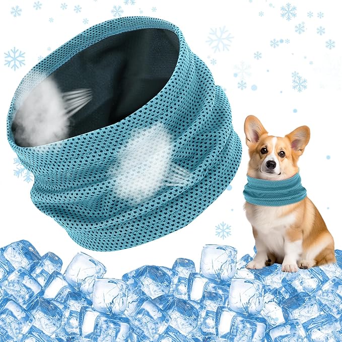 Bandana de Refroidissement per Cane Collier Ajustable 35 x 11 CM