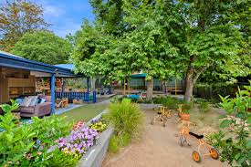 Gardening and lawn Care