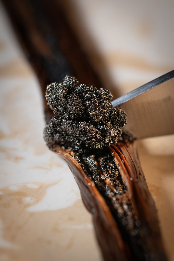 Organiczny kawior z wanilii Bourbon