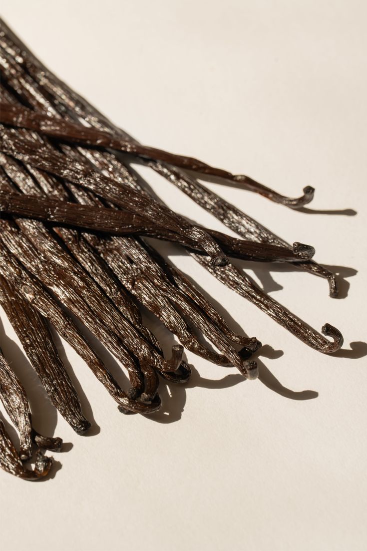 Organiczna Laska Wanilli Bourbon