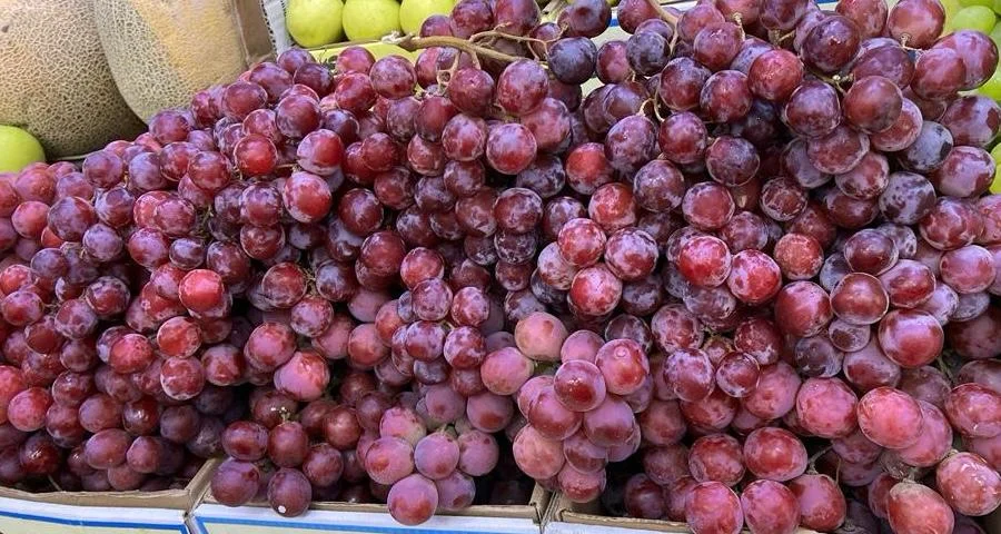 Red Globe Üzüm 