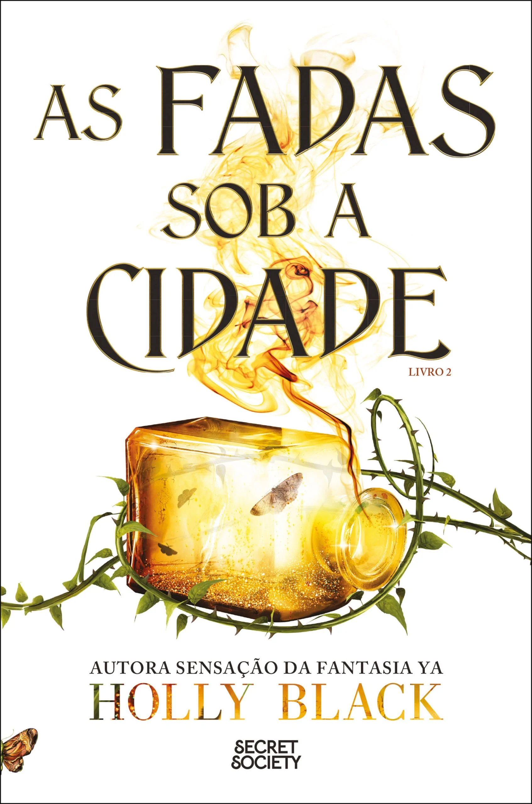 As Fadas Sob a Cidade (Modern Faerie Tales 2) - Holly Black