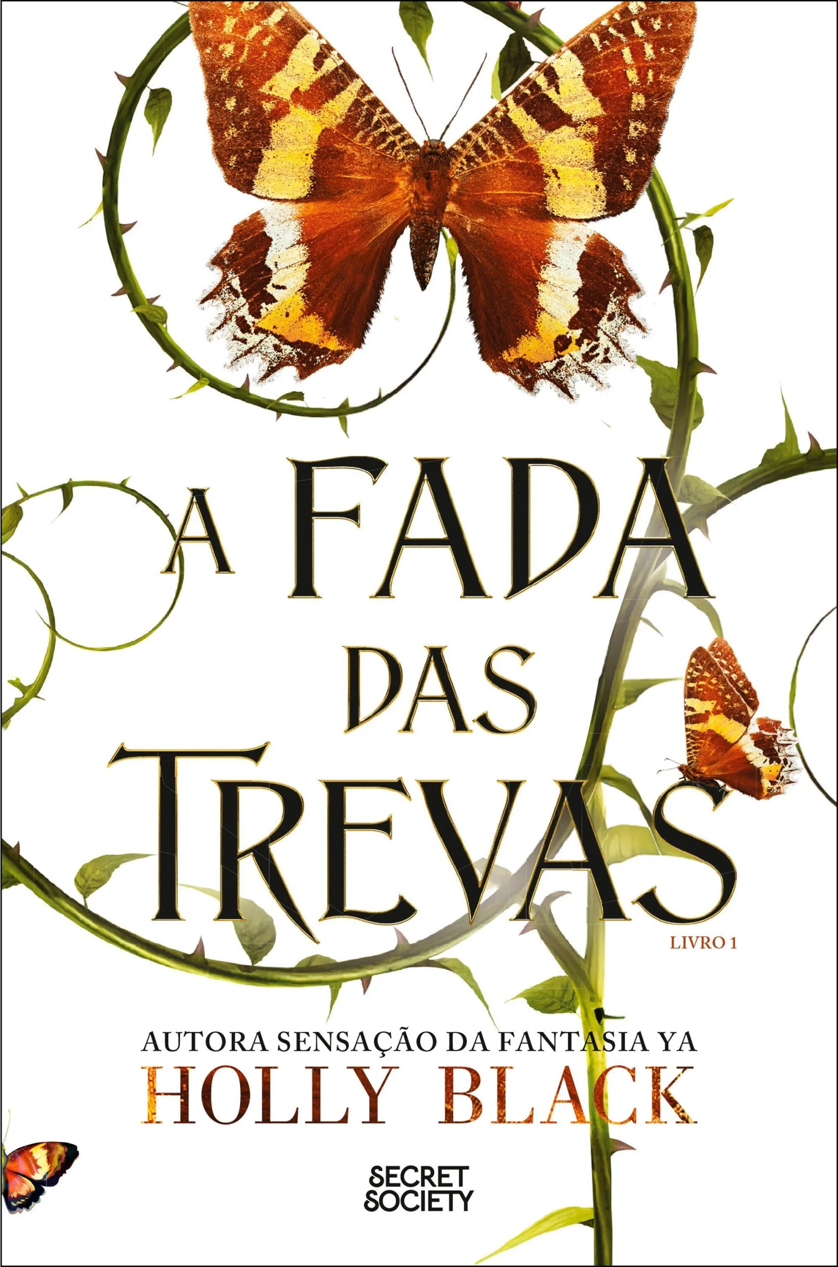 A Fada das Trevas (Modern Faerie Tales 1) - Holly Black