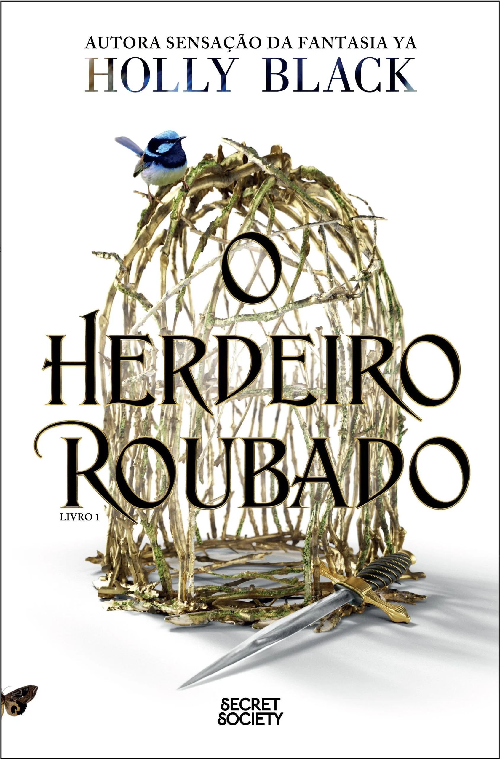 O Herdeiro Roubado - Holly Black