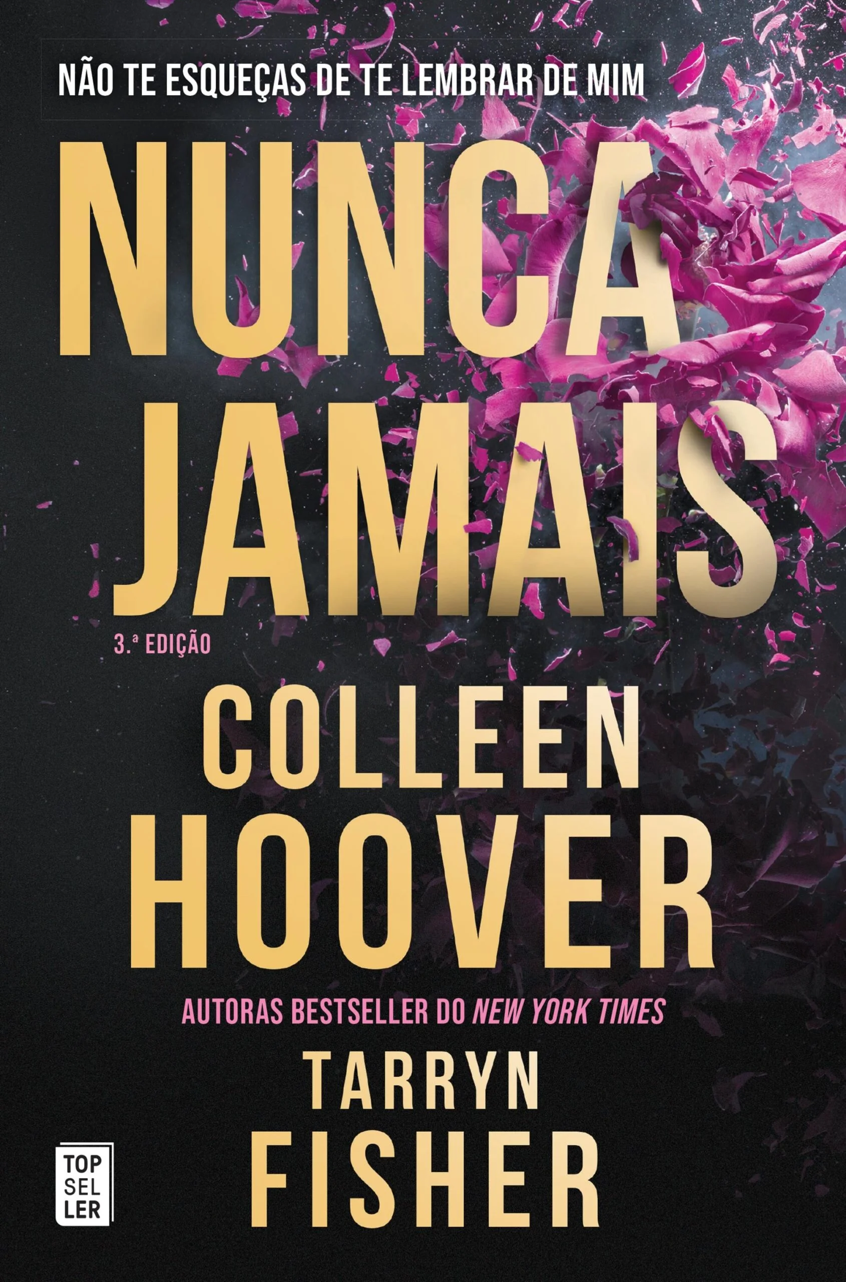 Nunca Jamais - Colleen Hoover, Tarryn Fisher