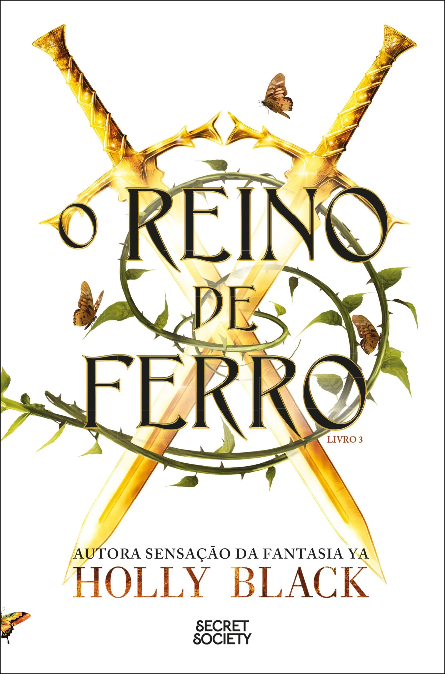 O Reino de Ferro (Modern Faerie Tales 3) - Holly Black