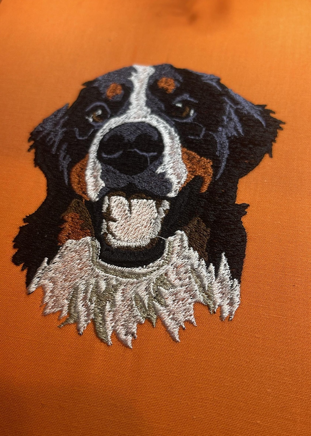 Retratos de Perros🐕