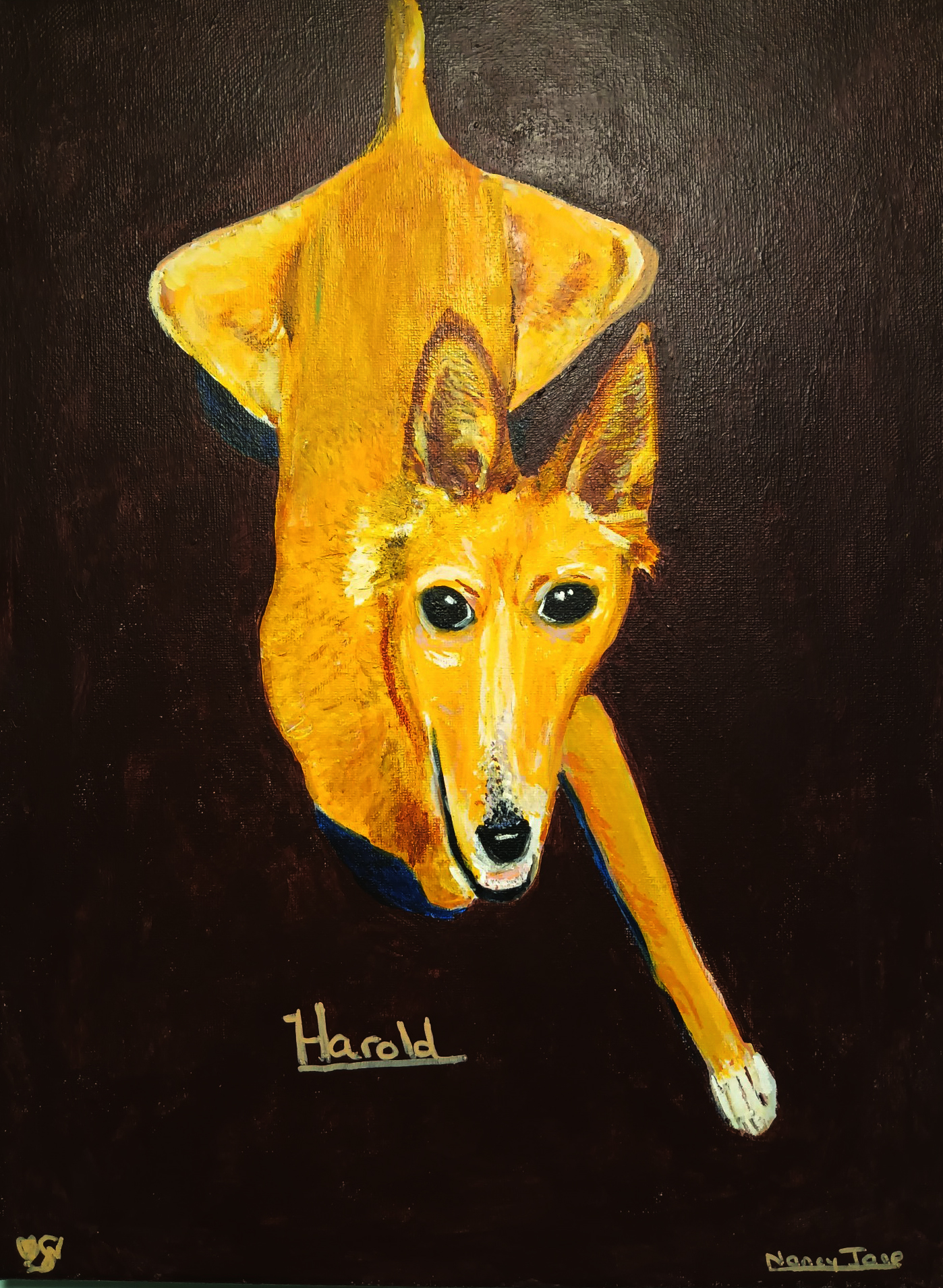 Hand-Painted Pet Portrait 20x24