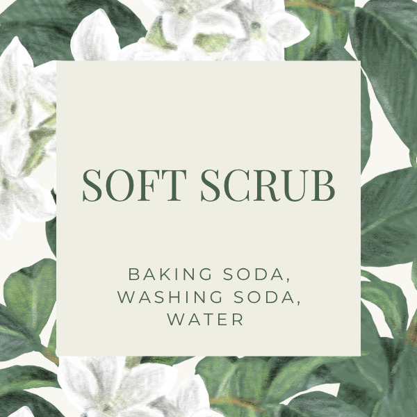 The Heart N Soul Natural House cleaning System