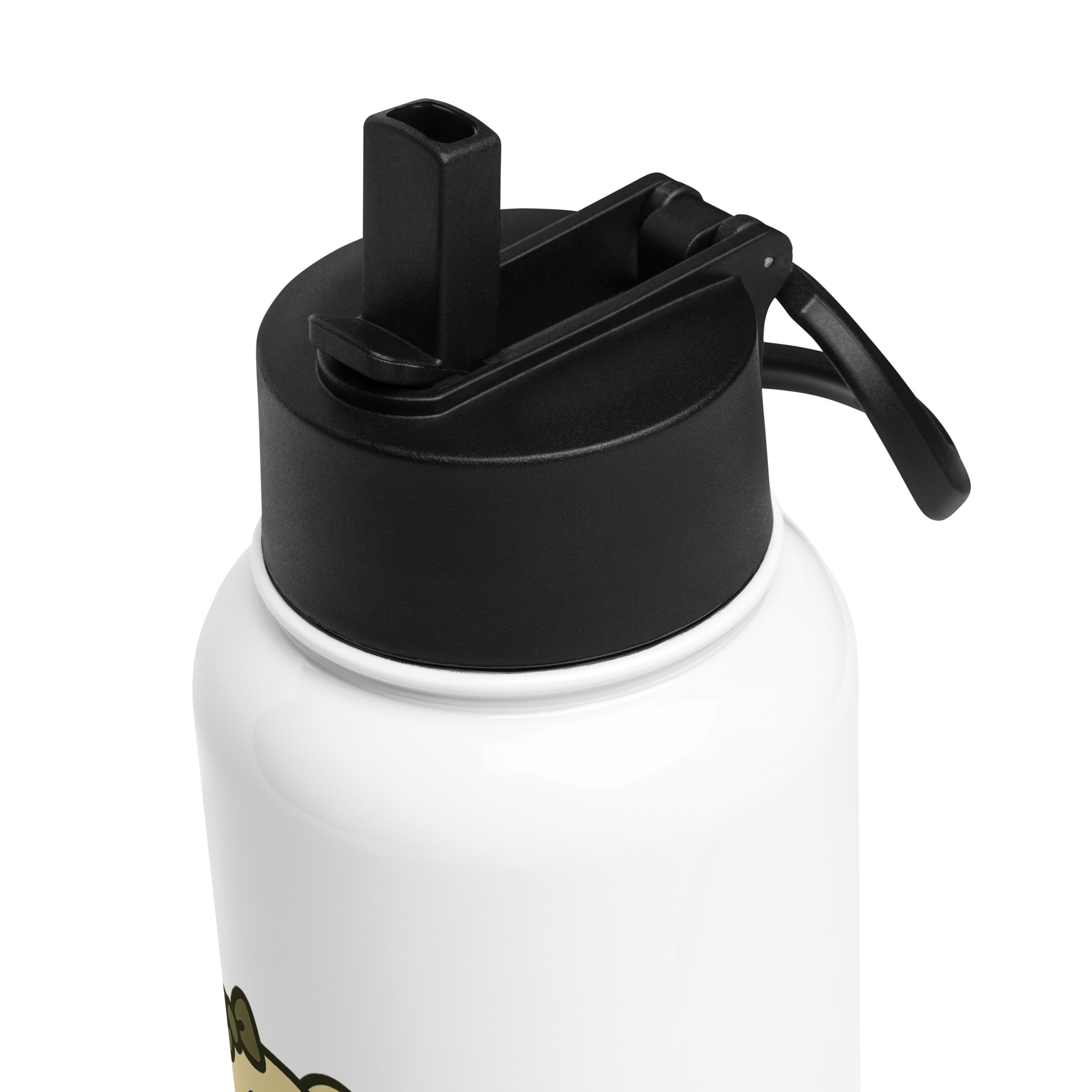 Stainless Steel Water Bottle with a Straw Lid