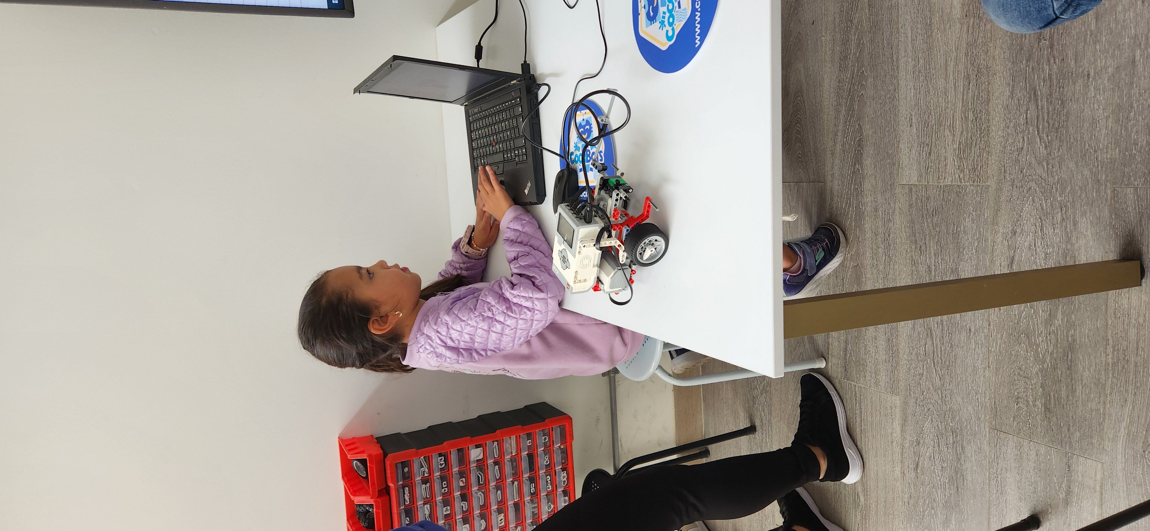 Membresia 12 lecciones