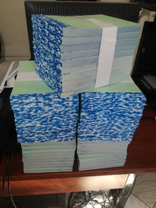 livros contabilisticos