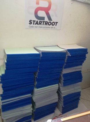 livros contabilisticos