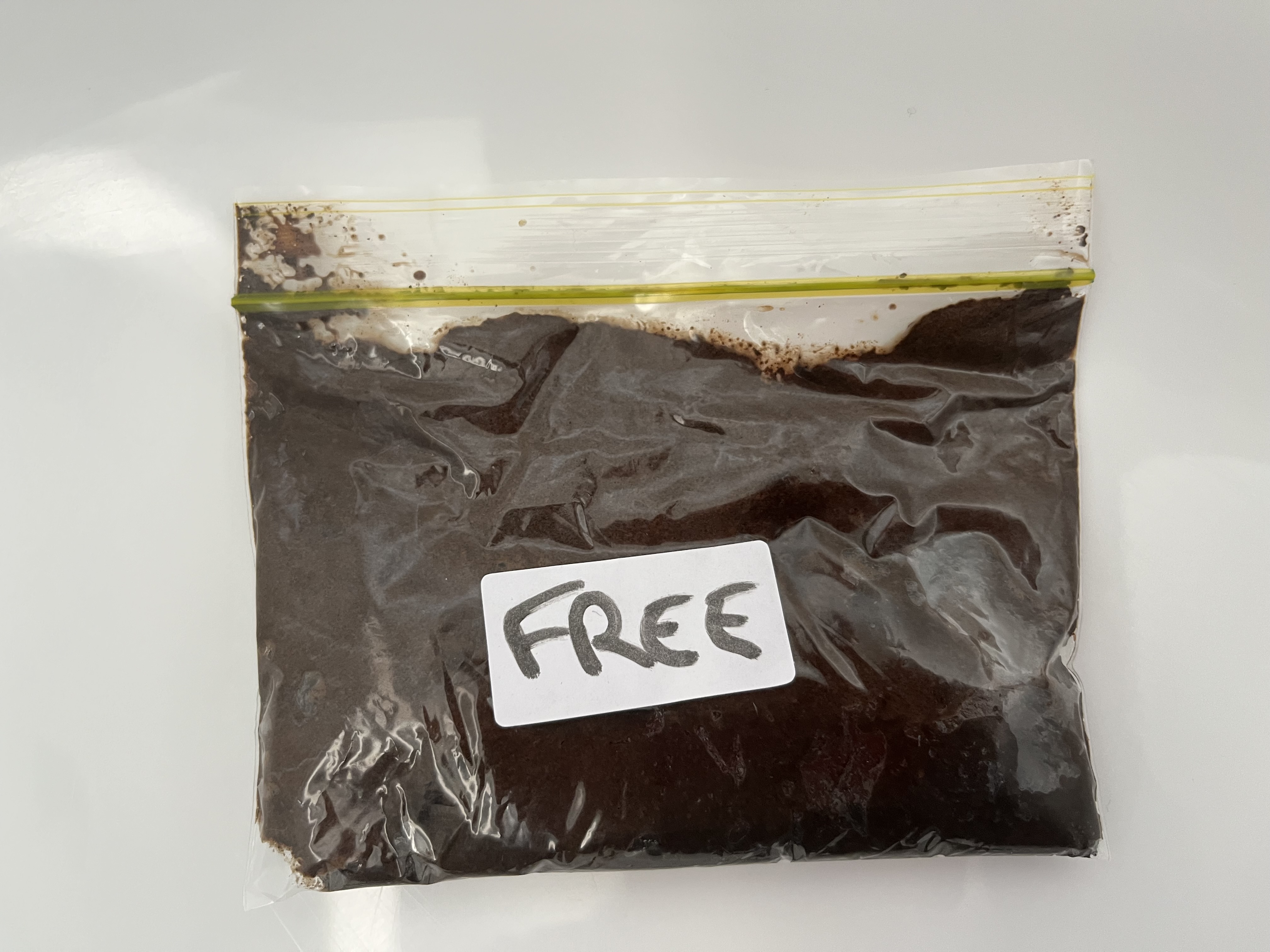 FREE coffee/chocolate testers