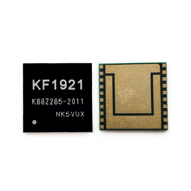 WhatsMiner KF1921 Chip