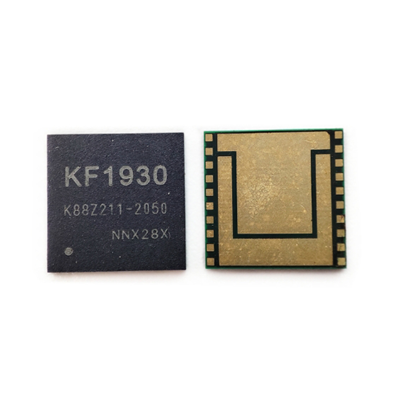 Whatsminer KF1930 chip