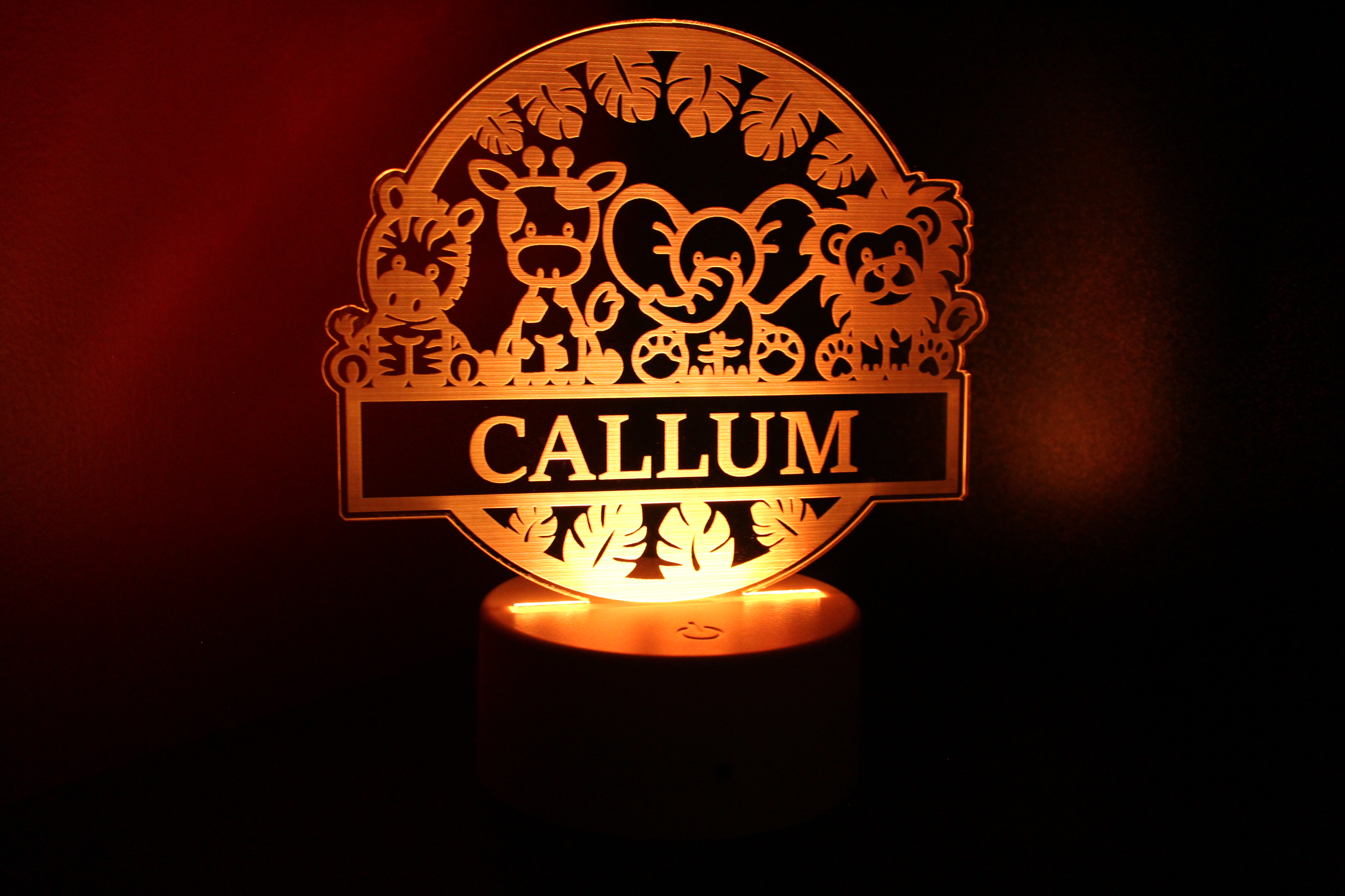 Personalised Animal LED Night Light