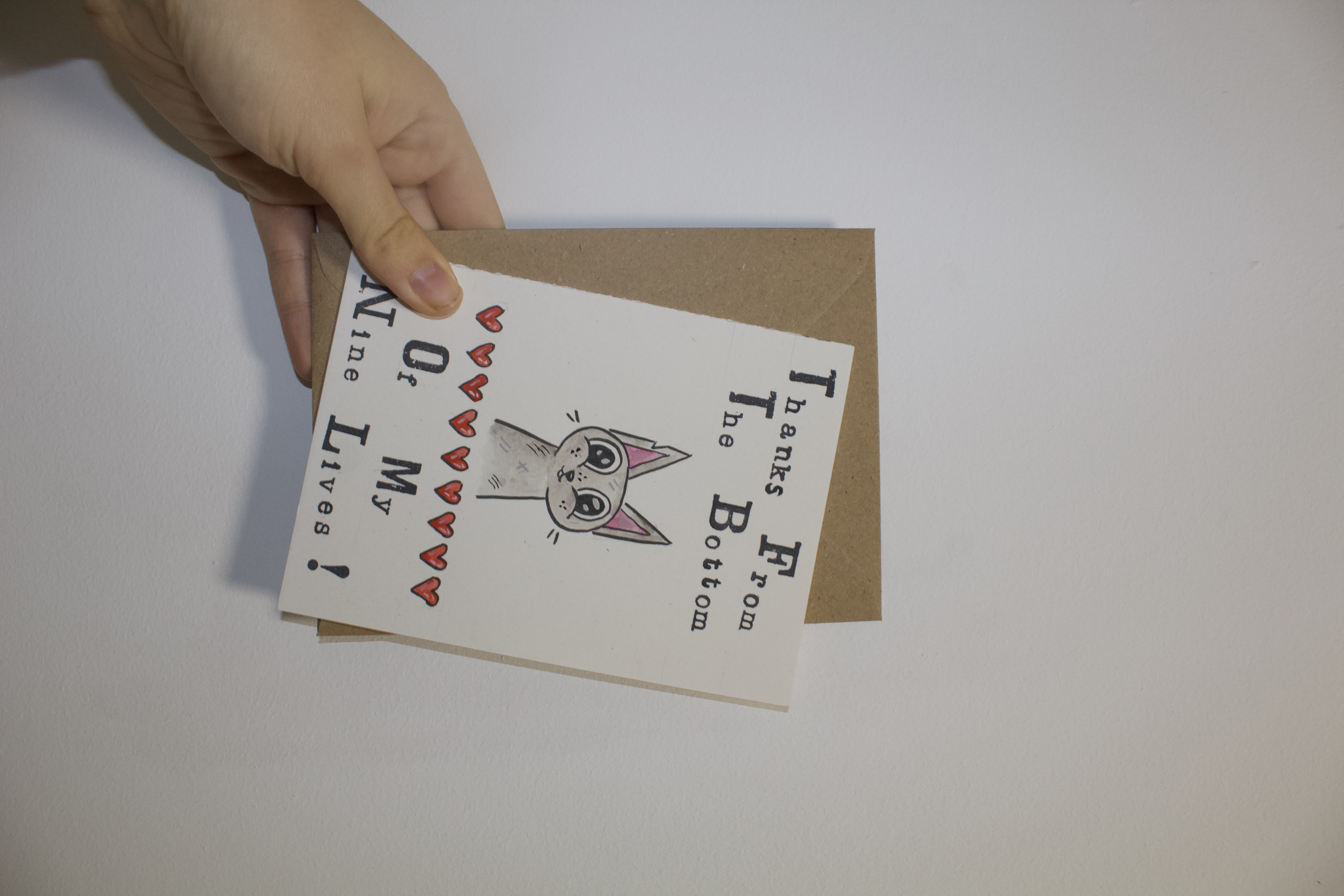 Thank you cat nines Lives!