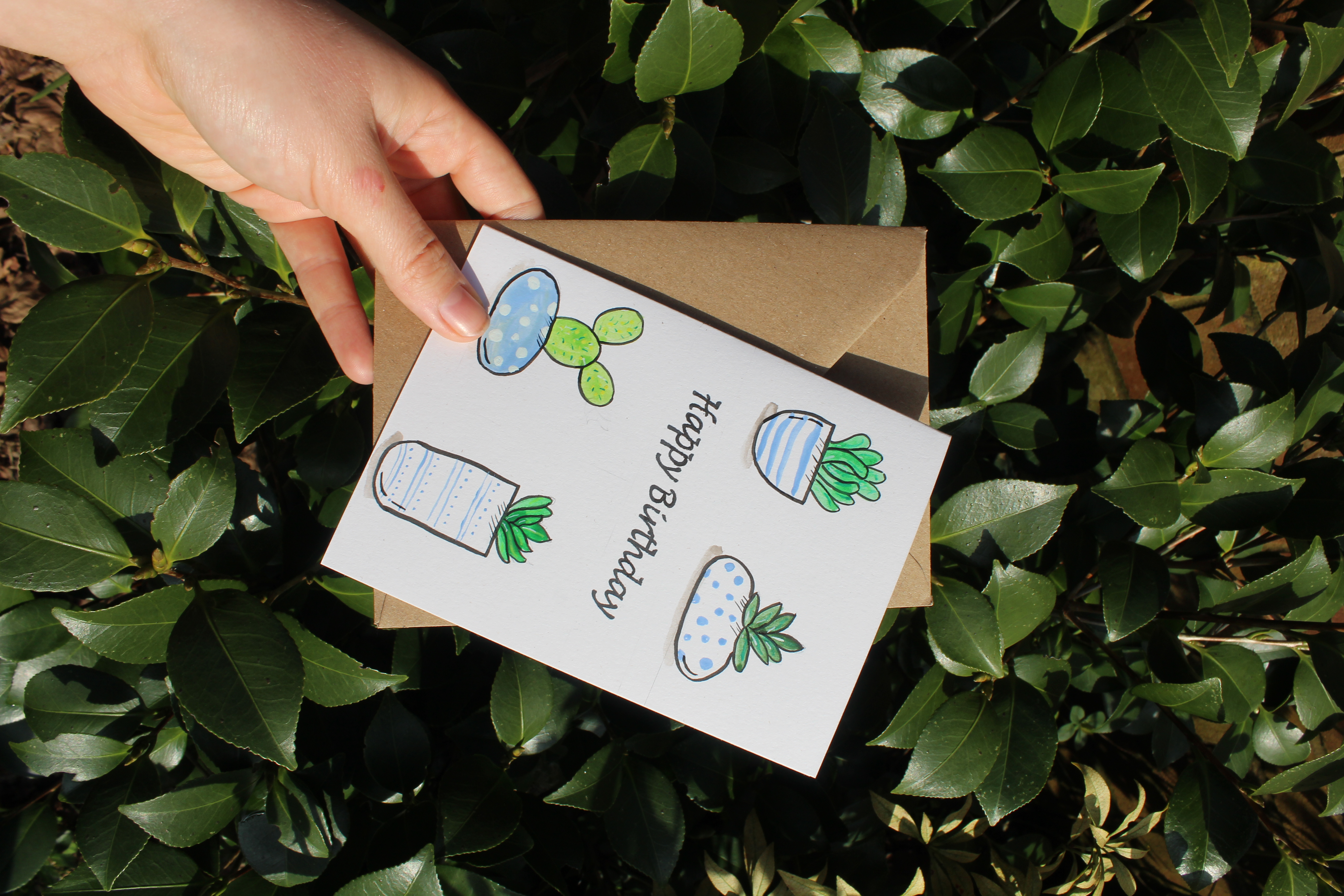 Succulent Plants Birthday Card