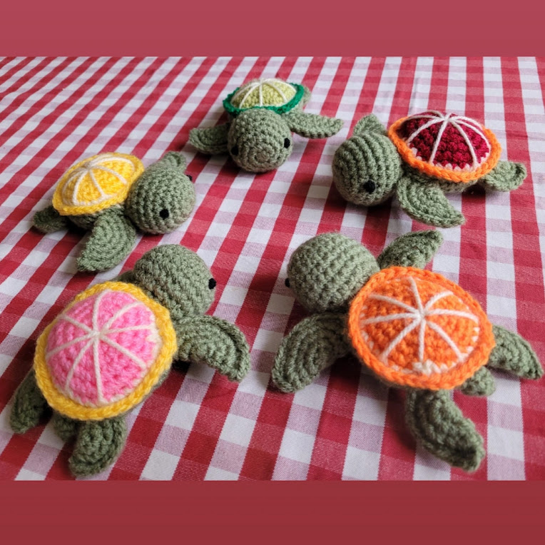 Citrus Fruit Turtles
