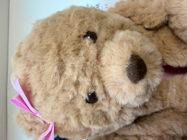 Plush Teddy Bear Slippers